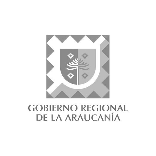 Gobierno Regional de La Araucanía
