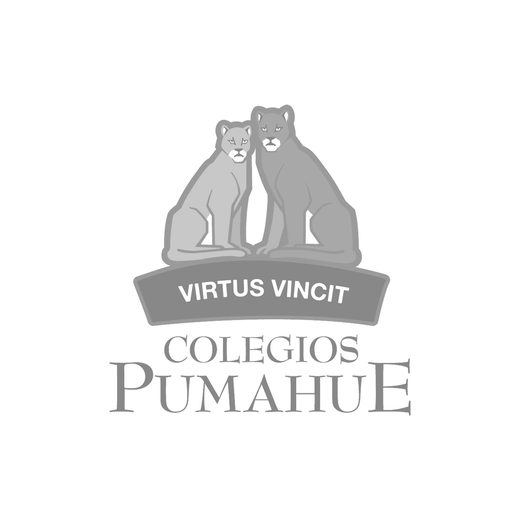 Colegios Pumahue