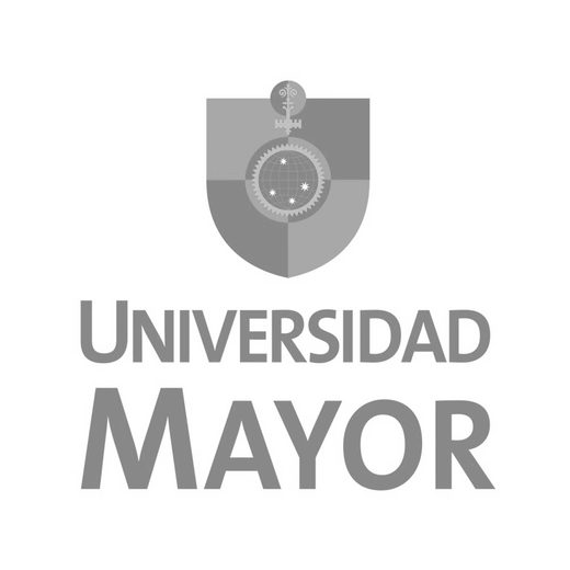 Universidad Mayor